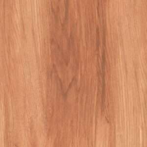 Betula Brown